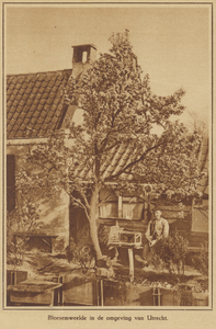 872534 Afbeelding van een bloeiende boom bij een boerenwoning in de omgeving van de stad Utrecht.